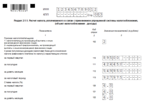 Декларация для ип усн 2020 скачать программу бесплатно с официального сайта ифнс
