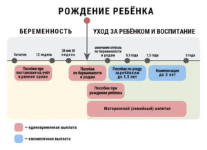 На каком сроке выходят в декретный отпуск в россии
