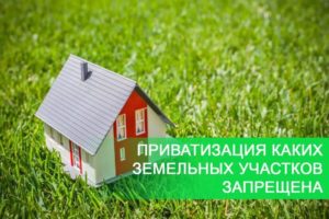 Сколько стоит приватизация земли под частным домом в беларуси