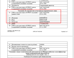 Дата место номер регистрации по егрюл где взять