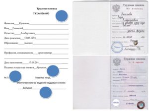 Где в трудовой книжке 2020 клеится голограмма