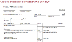 Косгу уплачивается недоимка и пени по фсс в 2020 году