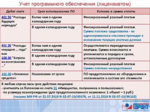 Как учитывать программное обеспечение в бухучете в бюджете в 2020 году
