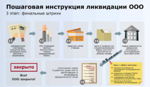 Ликвидация бюджетной организации пошаговая инструкция 2020