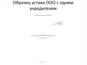 Устав ано один учредитель образец 2020