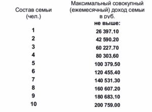 Расчитать малоимущие в спб 2020