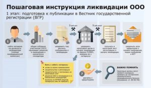 Ликвидация бюджетной организации пошаговая инструкция 2020
