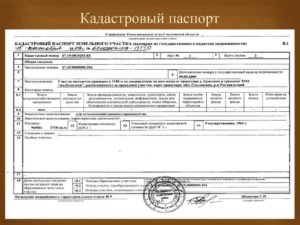 Нужен документ кадастровый паспорт в 2020 году