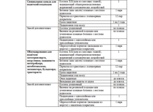 Нормы выдачи спецодежды 2020 по профессиям автомобильный транспорт