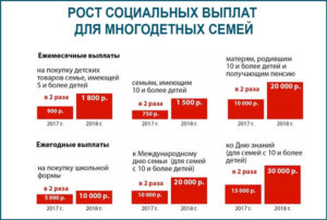 Определение малоимущая многодетная семья в московской области