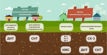 Перевод земли из огородничества в садоводство в 2020 Перевод земли из огородничества в садоводство в 2020