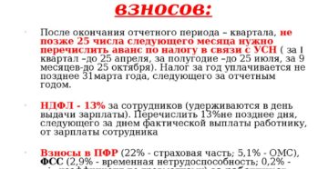 До какого числа какие налоги надо платить?