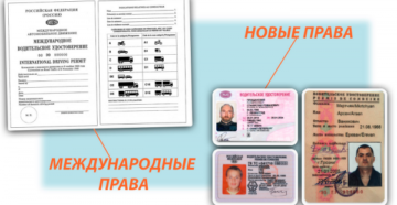 Как выглядят права международные нового образца 2020 фото