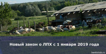 Лпх 2020 что изменится