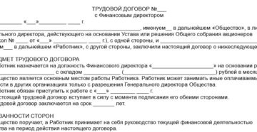Договор с финансовым директором образец