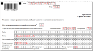 Виды деятельности на енвд в 2020 году для ип воронежская область с окавэдом
