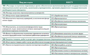 Косгу 2020 заправка картриджа