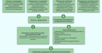 Ликвидация общественной организации пошаговая инструкция в 2020 году