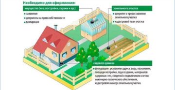 Регистрация снт в 2020 году пошаговая инструкция Регистрация снт в 2020 году пошаговая инструкция
