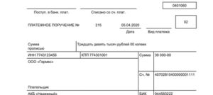 Образец платежного поручения на дивиденды учредителю в 2020 году