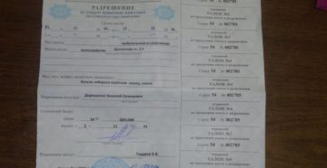Лицензия на косулю в 2020 году в челябинской области купить