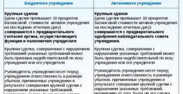 Крупная сделка для автономного учреждения в 2020 году Крупная сделка для автономного учреждения в 2020 году