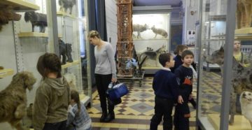 Бесплатные музеи для многодетных семей в санкт-петербурге