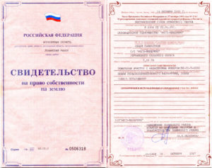 Как выглядит свидетельство на право собственности на дом и землю в 2020 году