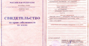 Как выглядит свидетельство на право собственности на дом и землю в 2020 году Как выглядит свидетельство на право собственности на дом и землю в 2020 году