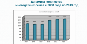 Многодетные семьи статистика в россии Многодетные семьи статистика в россии