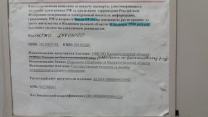 Размер госпошлины в случае кражи паспорта