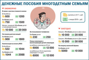 Определение малоимущая многодетная семья в московской области
