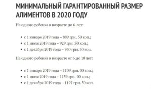 Новый закон о выплате алиментов 2020 если их вообще неплатит супруг