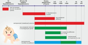 Выплаты при рождении первого ребенка в 2020 году в санкт-петербурге