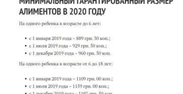 Алименты на ребёнка в беларуси 2020 год Алименты на ребёнка в беларуси 2020 год