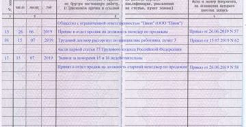 Запись в трудовой водителю автобуса в 2020 году Запись в трудовой водителю автобуса в 2020 году