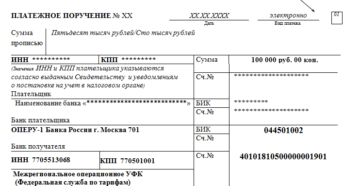 Госпошлина в роскомнадзор какой статус в платежке 01 или 08 Госпошлина в роскомнадзор какой статус в платежке 01 или 08