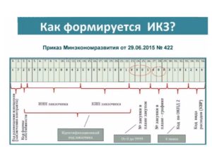 Идентификационный код закупки по 223 фз на 2020 год где взять