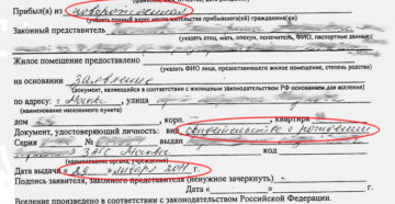 В какой срок необходимо прописаться после выписки В какой срок необходимо прописаться после выписки